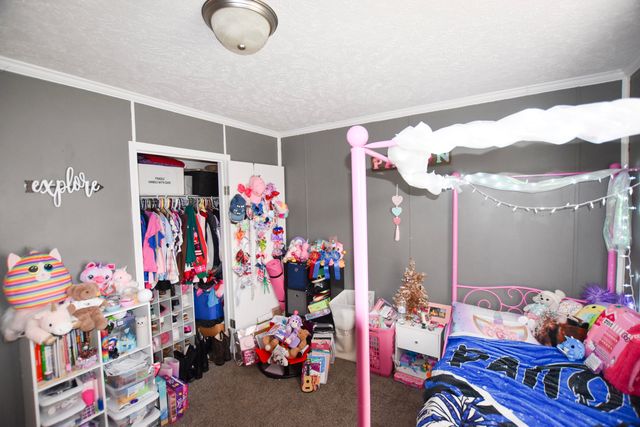 523 May Hollow Road, Tollesboro, KY 41189