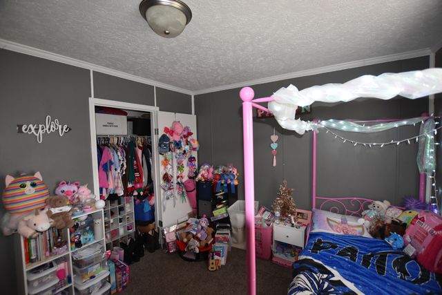 523 May Hollow Road, Tollesboro, KY 41189