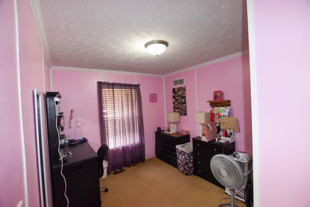 523 May Hollow Road, Tollesboro, KY 41189