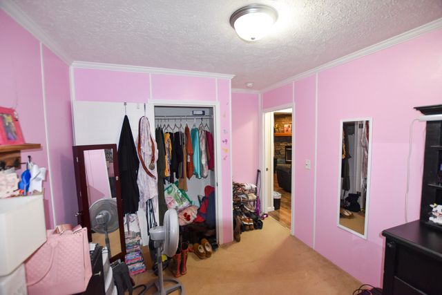 523 May Hollow Road, Tollesboro, KY 41189