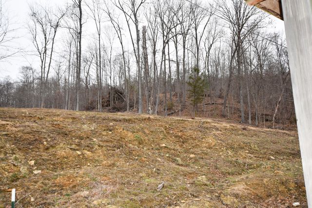 523 May Hollow Road, Tollesboro, KY 41189