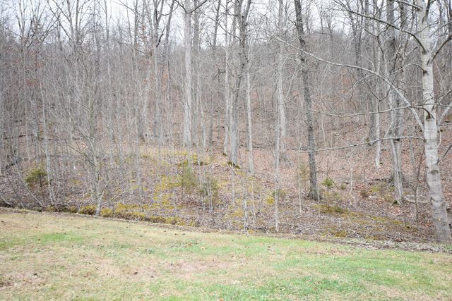 523 May Hollow Road, Tollesboro, KY 41189