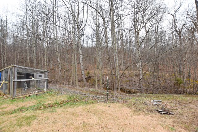 523 May Hollow Road, Tollesboro, KY 41189