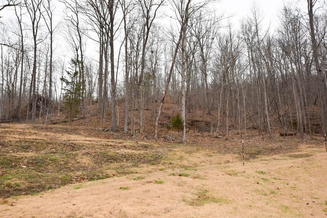 523 May Hollow Road, Tollesboro, KY 41189