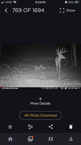 523 May Hollow Road, Tollesboro, KY 41189