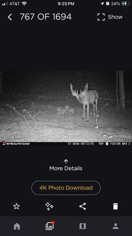 523 May Hollow Road, Tollesboro, KY 41189