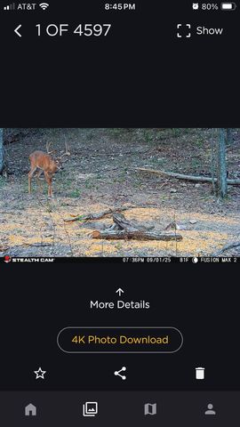 523 May Hollow Road, Tollesboro, KY 41189