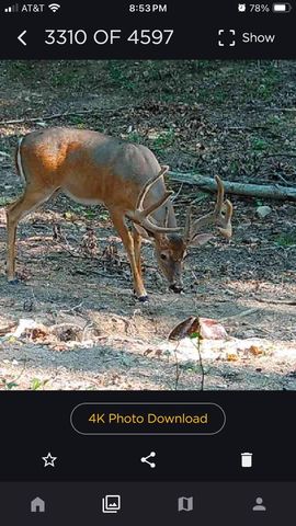 523 May Hollow Road, Tollesboro, KY 41189