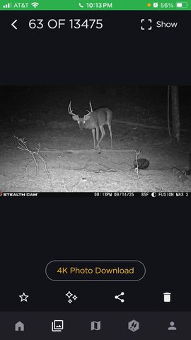 523 May Hollow Road, Tollesboro, KY 41189