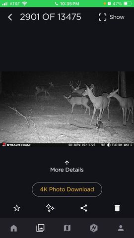 523 May Hollow Road, Tollesboro, KY 41189