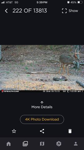 523 May Hollow Road, Tollesboro, KY 41189