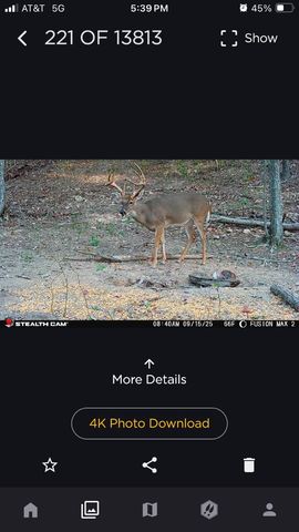 523 May Hollow Road, Tollesboro, KY 41189