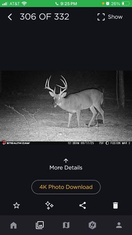 523 May Hollow Road, Tollesboro, KY 41189