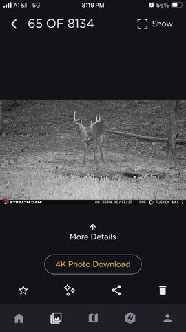 523 May Hollow Road, Tollesboro, KY 41189