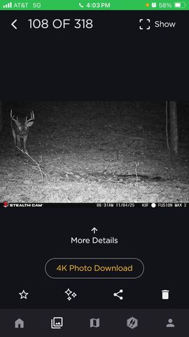 523 May Hollow Road, Tollesboro, KY 41189