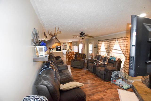 523 May Hollow Road, Tollesboro, KY 41189