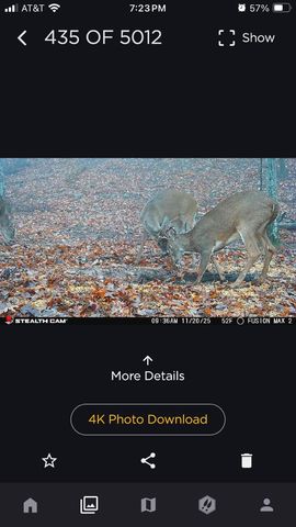 523 May Hollow Road, Tollesboro, KY 41189