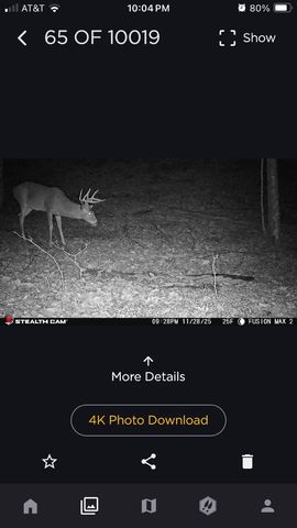 523 May Hollow Road, Tollesboro, KY 41189