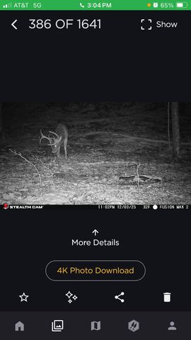 523 May Hollow Road, Tollesboro, KY 41189