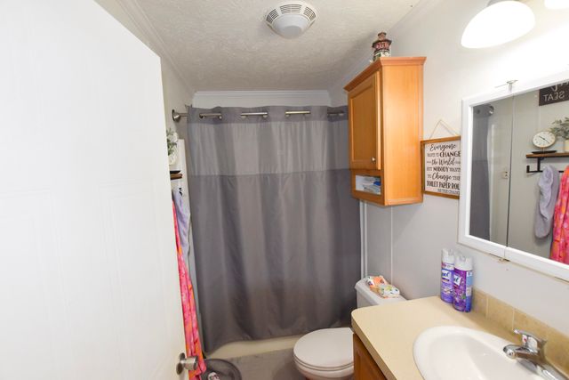 523 May Hollow Road, Tollesboro, KY 41189