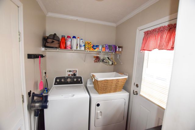 523 May Hollow Road, Tollesboro, KY 41189