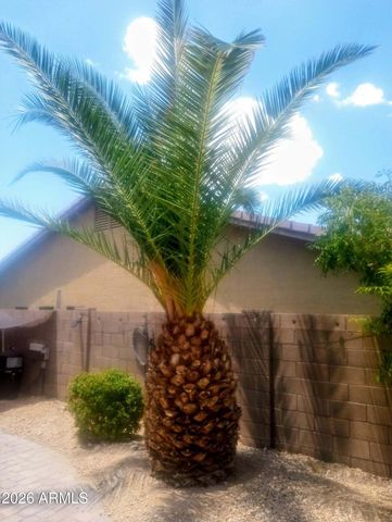 11490 S MORNINGSIDE Drive, Goodyear, AZ 85338