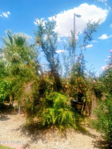 11490 S MORNINGSIDE Drive, Goodyear, AZ 85338