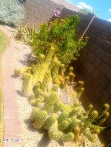 11490 S MORNINGSIDE Drive, Goodyear, AZ 85338