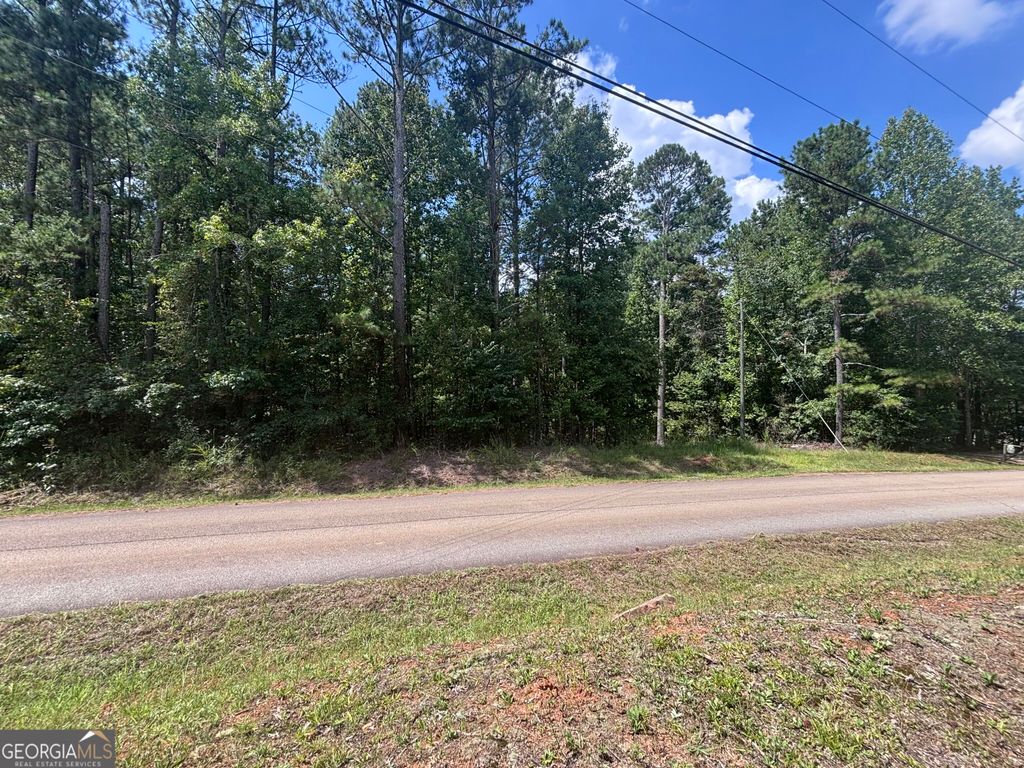 679 Freedom Drive, Martin, GA 30557 — exterior