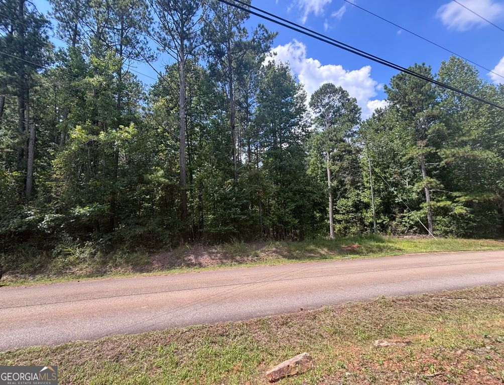 679 Freedom Drive, Martin, GA 30557 — photo 2