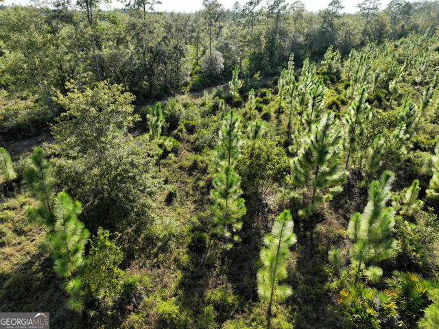 1507 Old Post Road, White Oak, GA 31568