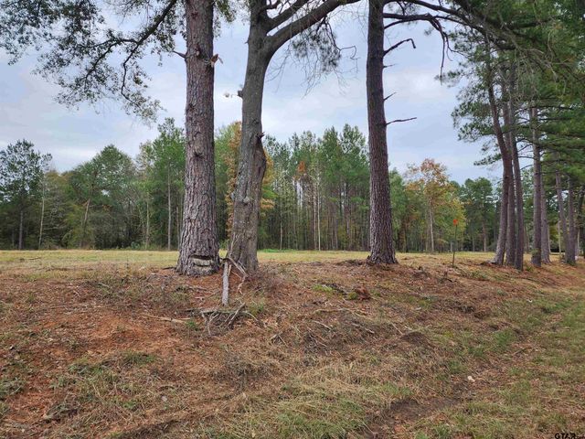 LOT 5 - TBD NE CR 363, Winona, TX 75792