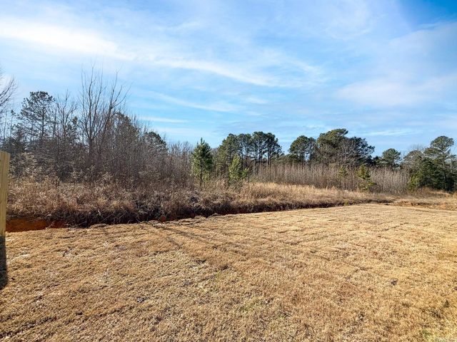 22 Wolfsbridge Loop, Cabot, AR 72023