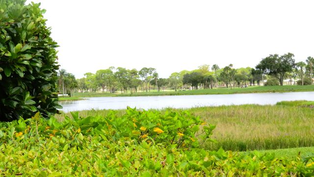 1009 Diamond Head Way, Palm Beach Gardens, FL 33418