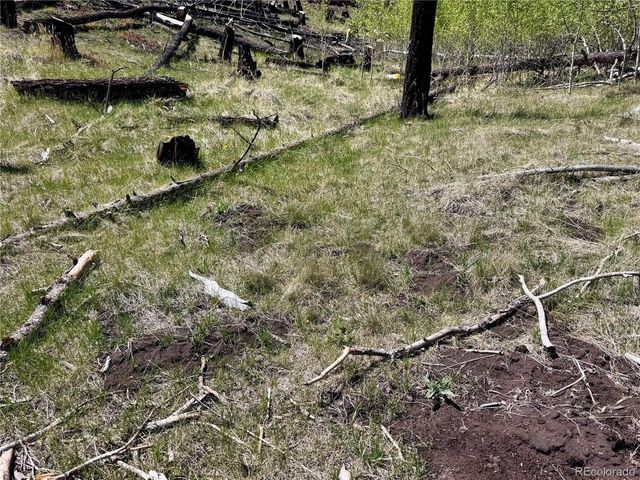 1005 Foy Pl, Fort Garland, CO 81133