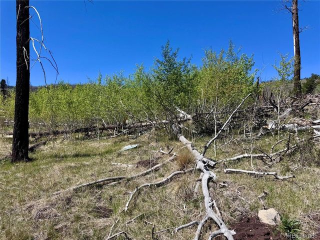1005 Foy Pl, Fort Garland, CO 81133