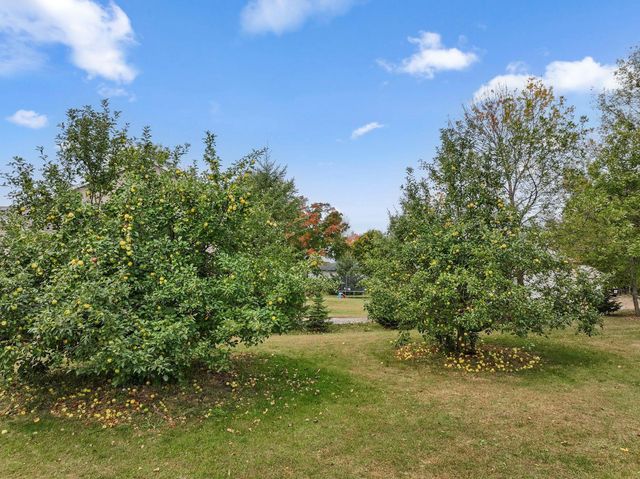 12470 W 270th Street, Belle Plaine, MN 56011