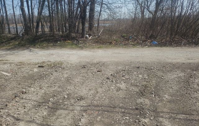14013 S Manistee Avenue, Burnham, IL 60633