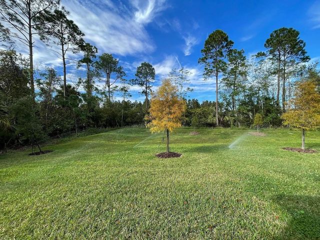 17135 CAGAN CROSSINGS BOULEVARD, Clermont, FL 34714