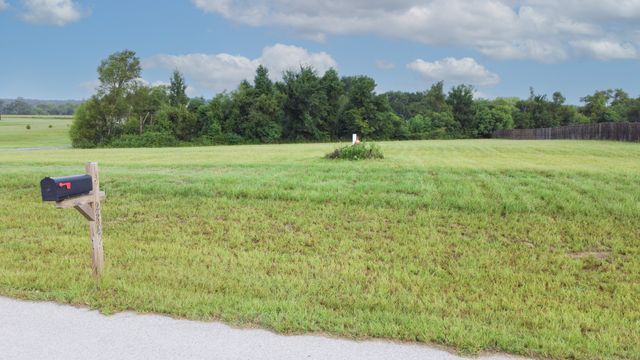 234 8641, Canton, TX 75103