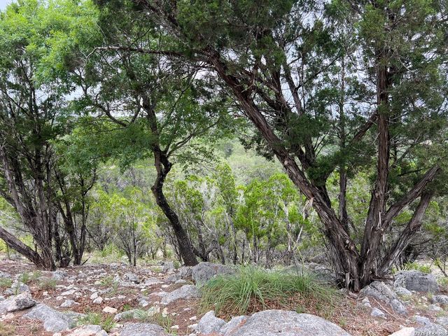 333 Spanish Oak, Bandera, TX 78003