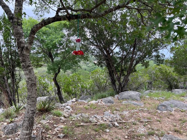 333 Spanish Oak, Bandera, TX 78003
