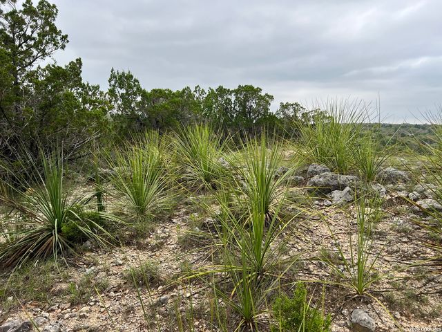 333 Spanish Oak, Bandera, TX 78003