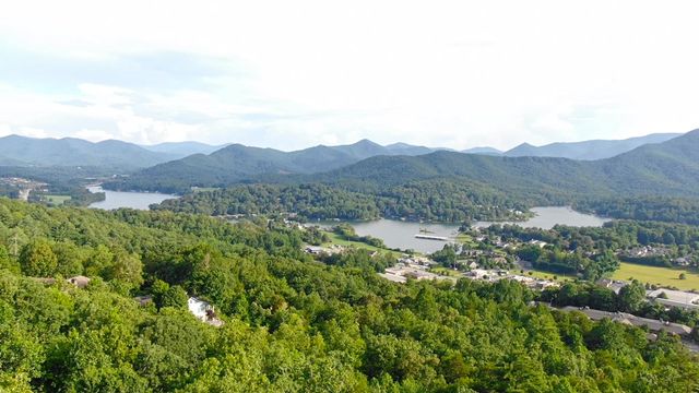 Lot 1 Whiskey Mountain Estates, Hiawassee, GA 30046