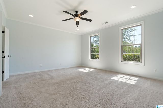 222 W TRESTLE WAY, Helena, AL 35080