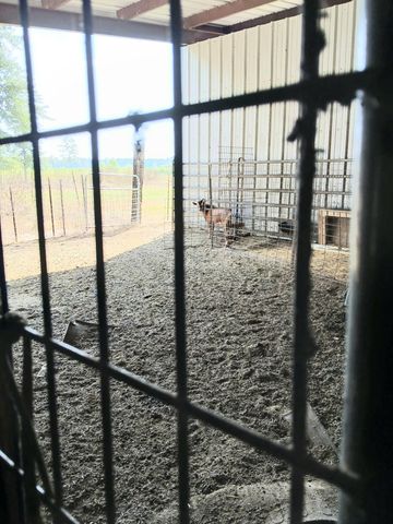 326 Rogers Rd., Columbia, MS 39429