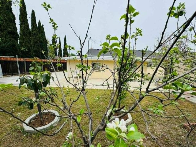 1227 Letitia Court, San Jose, CA 95122