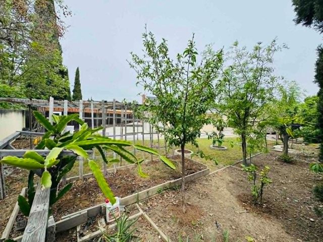 1227 Letitia Court, San Jose, CA 95122