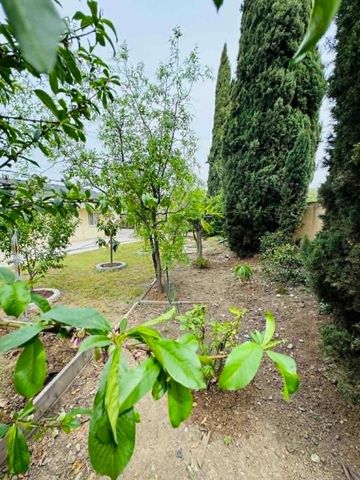 1227 Letitia Court, San Jose, CA 95122