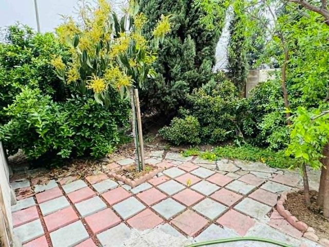 1227 Letitia Court, San Jose, CA 95122